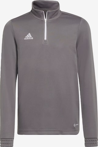 ADIDAS PERFORMANCE Funktionsshirt 'Entrada 22'' in Grau: predná strana