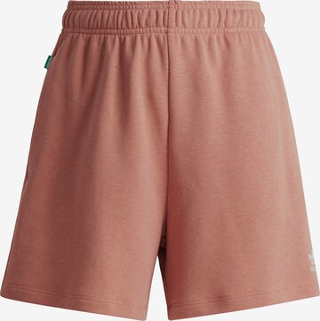 ADIDAS ORIGINALS Pants 'Essentials' in Brown: front