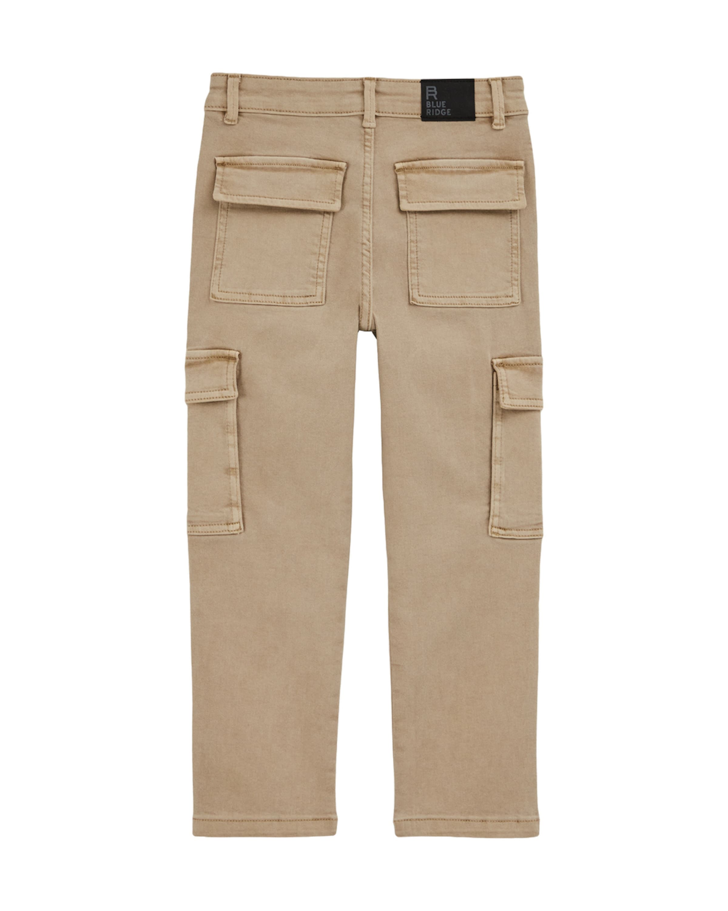 WE Fashion Regularen Hlače | rjava barva