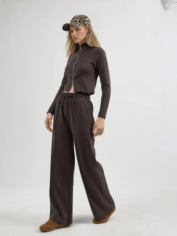 Busem - Regular Calças em castanho