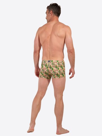 Shorts de bain ' Swim Shorts Taormina ' HOM en vert