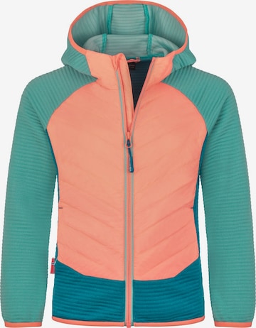 TROLLKIDS Fleece Jacket in Mixed colors: front