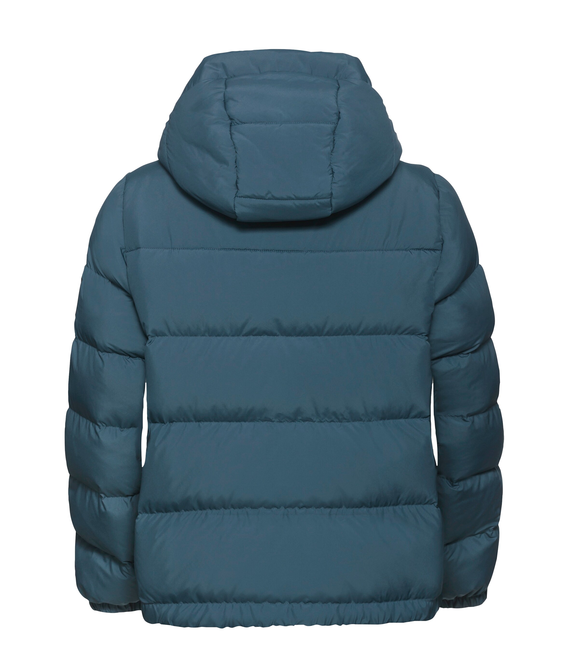 JACK WOLFSKIN Winter Jacket in Green