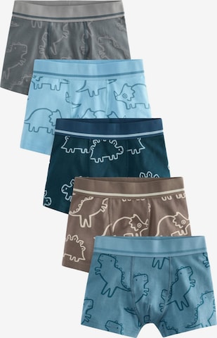 Next Трусы в Синий: спереди