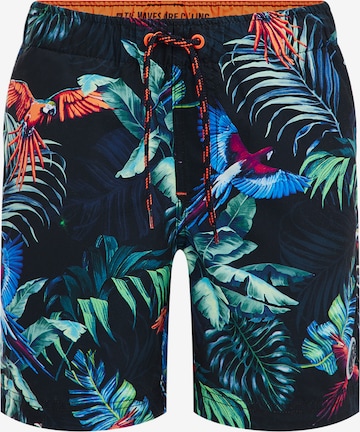 WE Fashion Swim Trunks in Blue: front