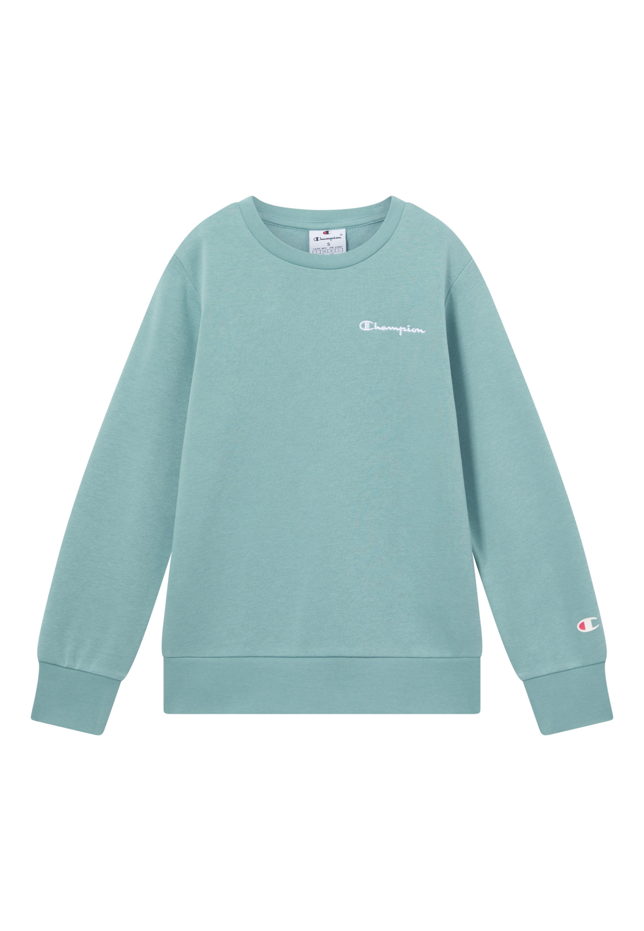 Champion Authentic Athletic Apparel Sweatshirt in Green: front