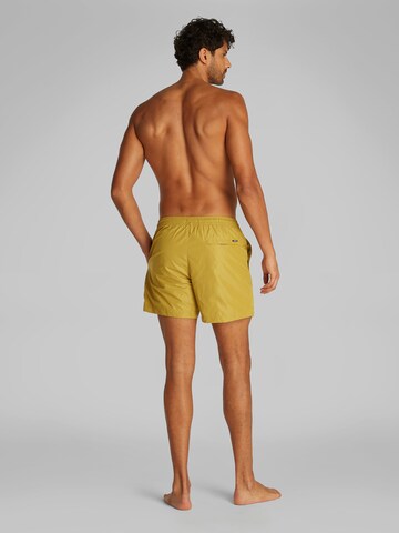 Shorts de bain Calvin Klein Swimwear en vert