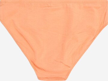 SCHIESSER Underpants in Mixed colors