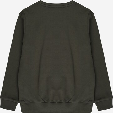 s.Oliver Sweatshirt in Groen