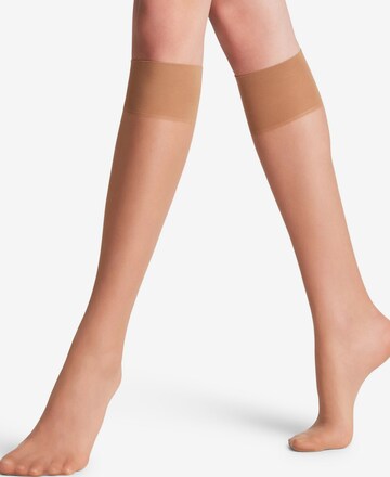 FALKE Knee High Socks 'Pure Matt' in Yellow: front