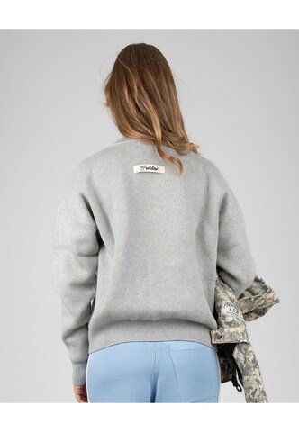 Pull-over 'Academy' Prohibited en gris