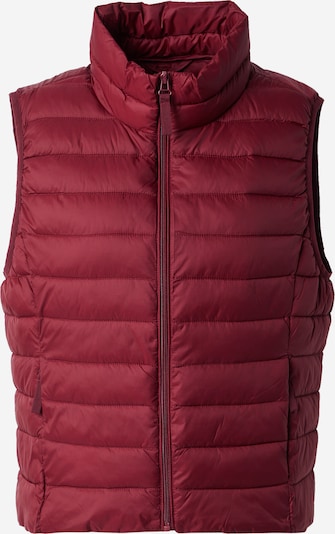 ONLY Prsluk 'ONLTAHIA' u purpurna, Pregled proizvoda