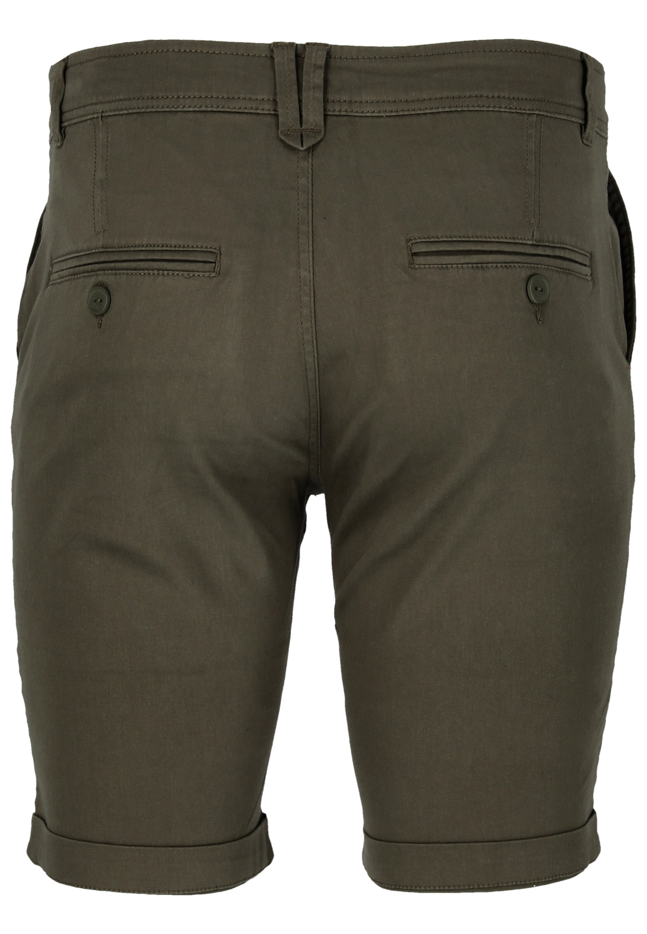 Cruz Regular Pants 'Jerryne' in Green