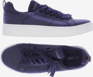 ESPRIT Sneakers & Trainers in 40 in Blue: front
