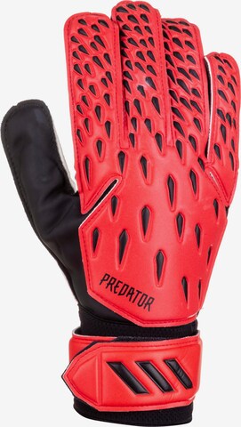 ADIDAS PERFORMANCE Athletic Gloves 'Predator' in Red: front