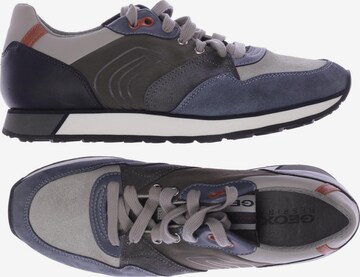 GEOX Sneakers & Trainers in 41 in Grey: front