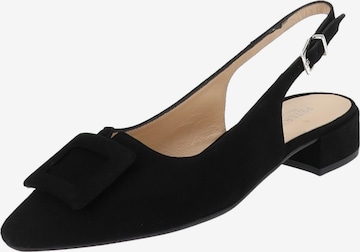 PETER KAISER Pumps in Black: front