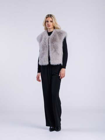 FREAKY NATION Bodywarmer in Grijs