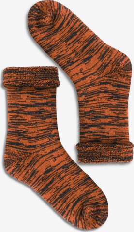 Polar Husky Socken in Orange: predná strana