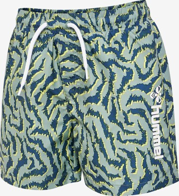 Hummel Athletic Swimwear 'Chill' in Green