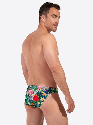 HOM Badehose ' Swim Micro Briefs Peacock ' in Grün