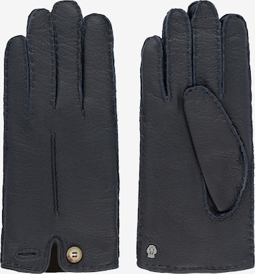 Roeckl Handschuhe in Blau: predná strana