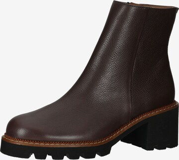 Paul Green Ankle Boots in Brown: front