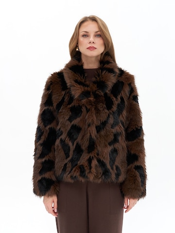 Passioni Winter Jacket in Brown: front