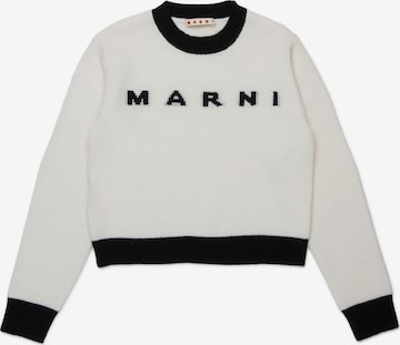 Marni Свитер в Белый: спереди