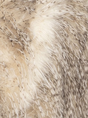 JIORO Winter Coat 'ESSENTIALS' in Beige