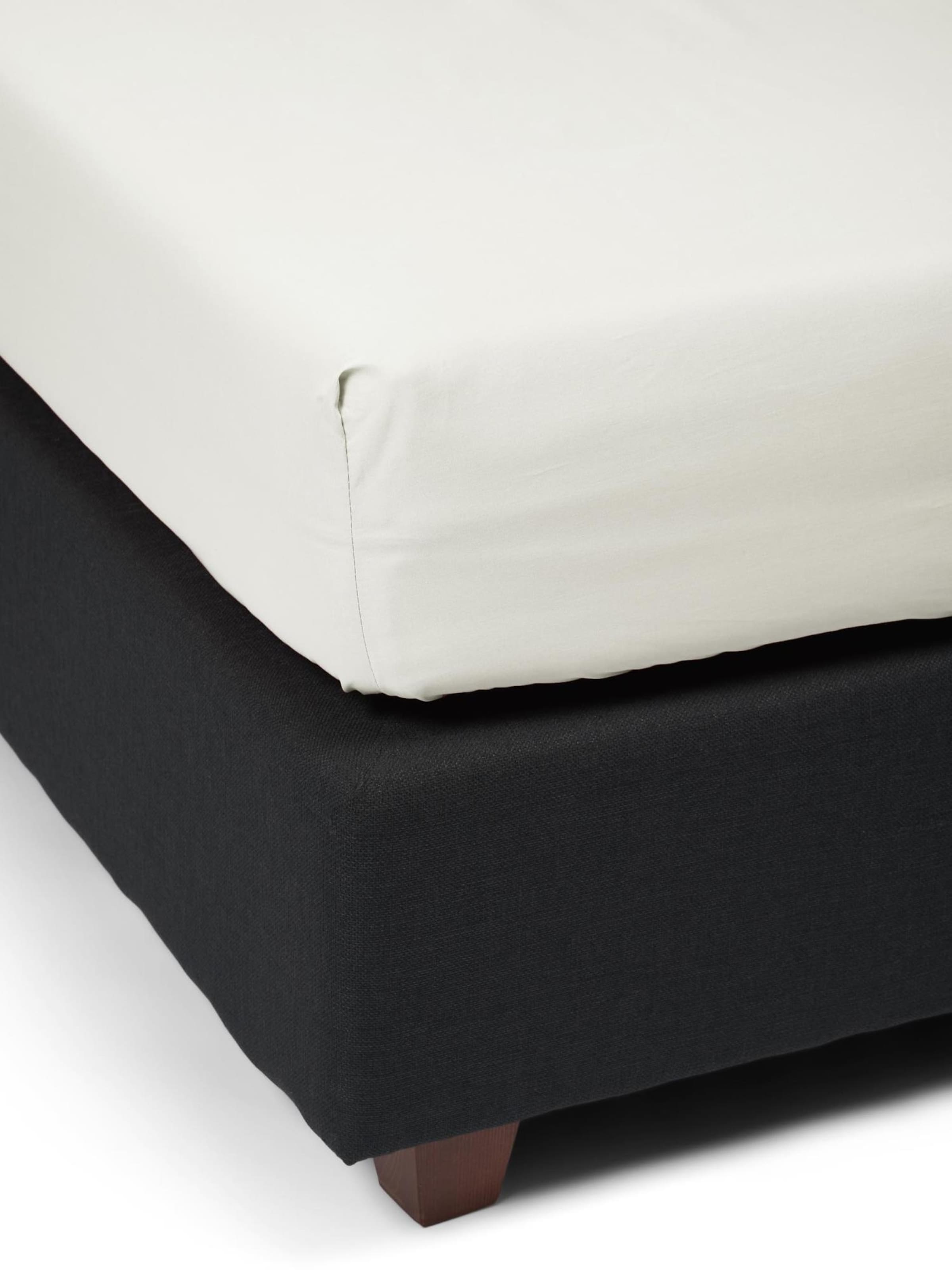 ESSENZA Bed Sheet 'Minte' in Beige