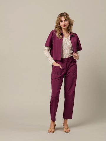 &co woman Regular Broek '&Co Woman Renza broek bordo' in Rood: voorkant
