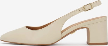 balta Kazar Basutės: priekis