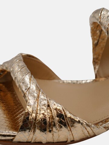 Michael Kors Sandały 'MICHAEL KORS KIANA FLAT SANDAL Scarpe' w kolorze złoty