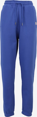 Pantalon DEF en bleu : devant