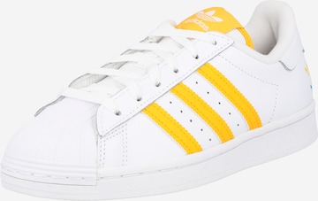 ADIDAS ORIGINALS - Zapatillas deportivas bajas 'Superstar' en blanco: frente