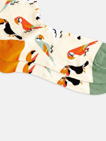 Chaussettes DillySocks en mélange de couleurs