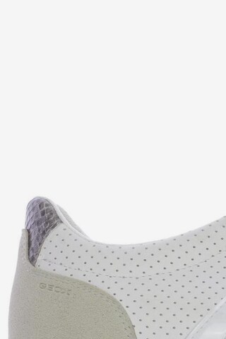 GEOX Sneakers & Trainers in 41 in White