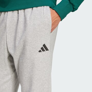 ADIDAS SPORTSWEAR Конический (Tapered) Спортивные штаны 'Essentials Feel Cozy' в Серый