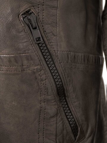 Jilani Tussenjas 'Florens' in Bruin