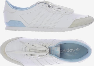 ADIDAS ORIGINALS Sneakers & Trainers in 40,5 in White: front