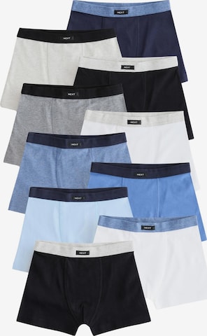 mėlyna Next Apatinės kelnaitės: priekis