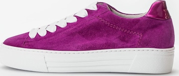 GABOR Sneakers in Purple