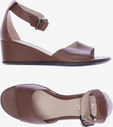 ECCO Sandals & High-Heeled Sandals in 37 in Brown: front