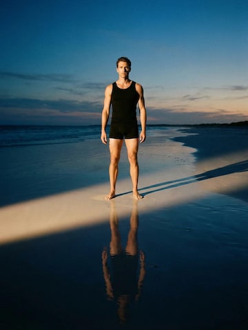 ZUBEK Boxershorts 'Men's Merino Wool Boxer Briefs (Trunks) – 3 Pack' in Zwart