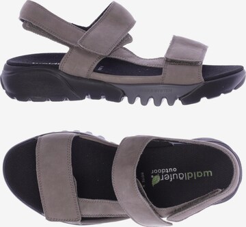WALDLÄUFER Sandals & High-Heeled Sandals in 36 in Grey: front