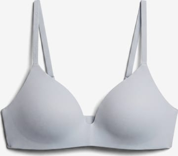 Calvin Klein Underwear Bra in Grey: front