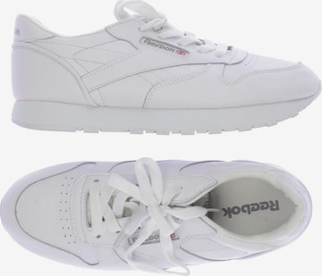 Reebok Sneakers & Trainers in 40 in White: front