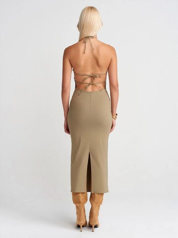 Dilvin Midi Kleid in Grün
