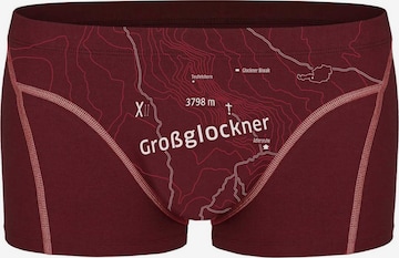 Ein schöner Fleck Erde Boxer shorts in Red: front